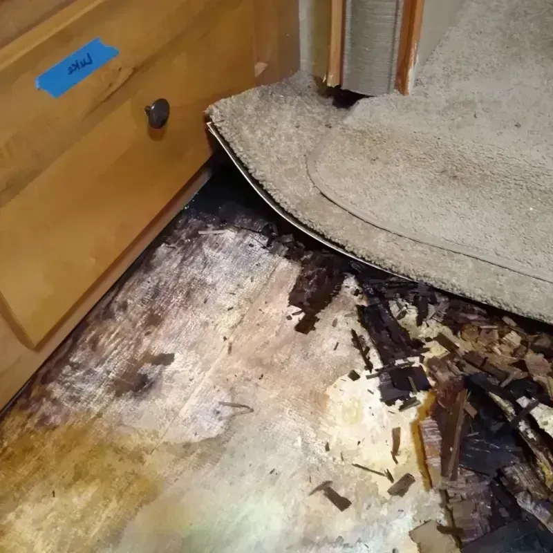 Best Wood Floor Water Damage Service in Centreville, MD